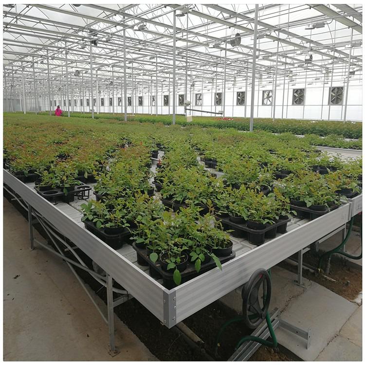 不是什么植物都適用于潮汐苗床的？